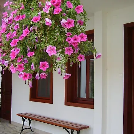 Varkert Panzio بيت ضيافة 2*